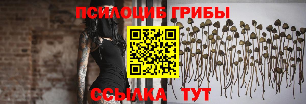 Галлюциногенные грибы MAGIC MUSHROOMS Приморско-Ахтарск