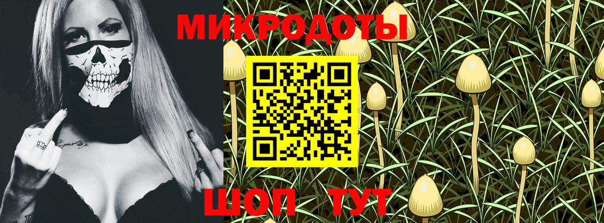 Приморско-Ахтарск  Галлюциногенные грибы MAGIC MUSHROOMS  Галлюциногенные грибы Psilocybine cubensis  Вход с VPN 